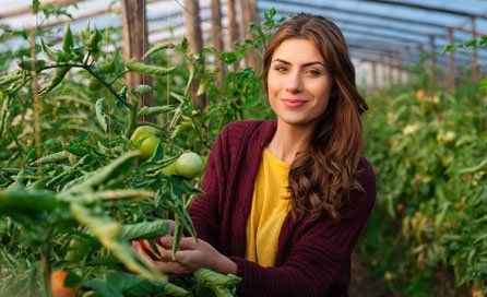 Niagara Homegrown Hydroponics