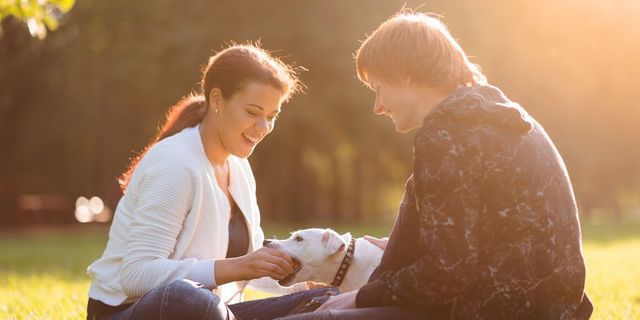 compassionate pet cremation
