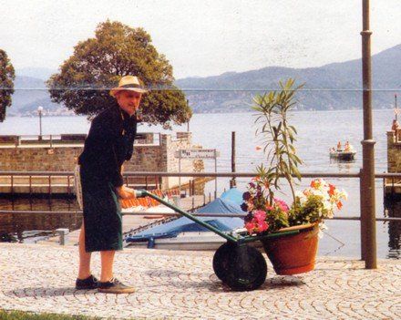 Un uomo con un cappello sta trascinando un vaso di fiori con l’ausilio della cariola su lungo lago