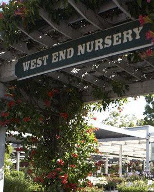 West End Nursery San Rafael Ca Christmas House Video West End Nursery San Rafael Ca