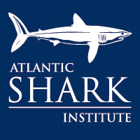 Shark Research - Atlantic Shark Institute