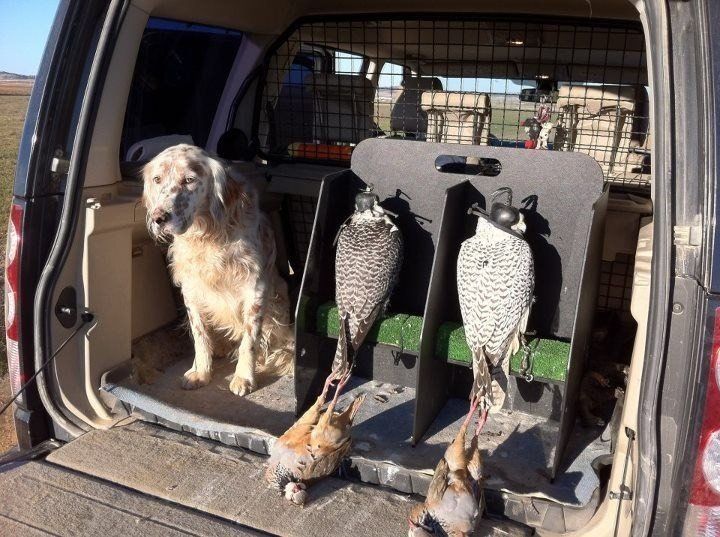 Falconry Equipment & Falconry Travel Box by Animal Transit Boxes