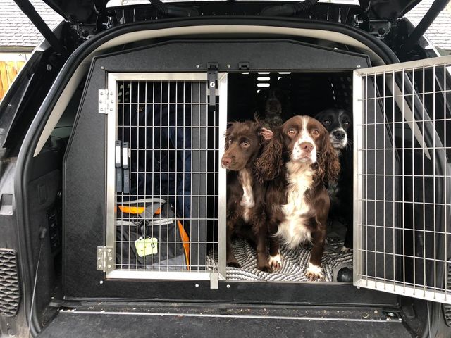 nissan navara dog cage