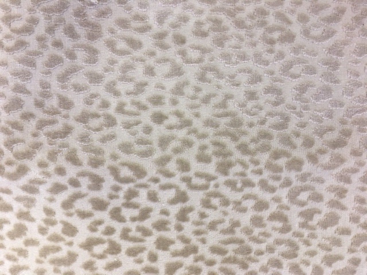 Stylish carpets from Animal Print Carpets in the UK