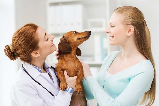 nearby veterinary doctor