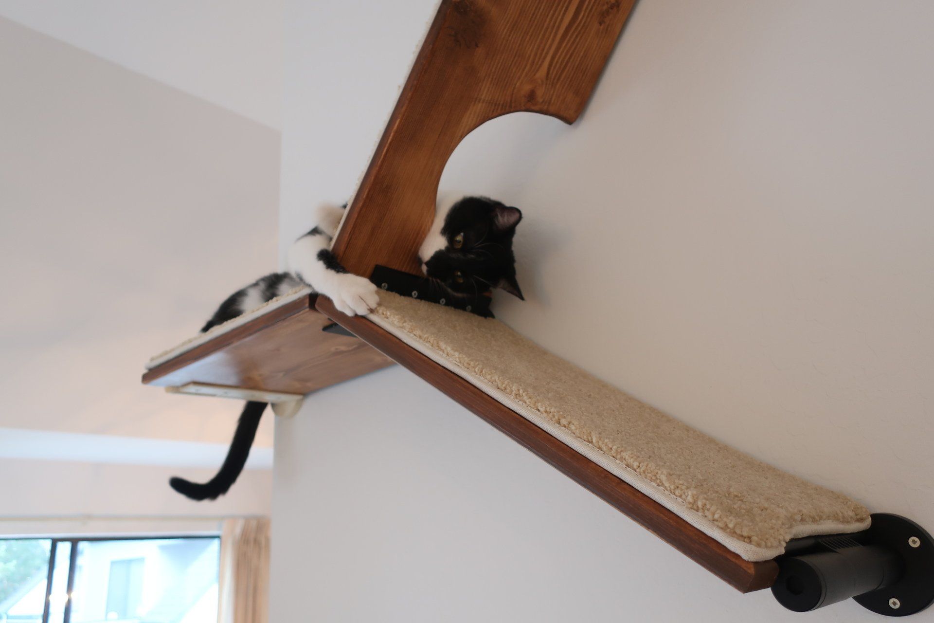 Cat Shelf Bracket3 for floating cat shelves