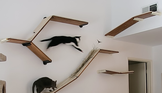 Cat Shelves - modern, modular, easy to customize and install