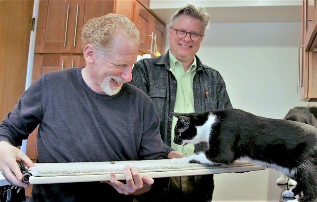 The People And Felines Of Catscapes Cat Shelves Cat Trees And