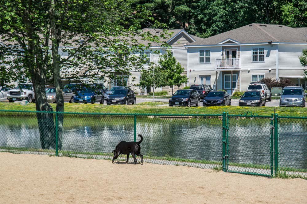 Twin Ponds at Nashua NH Dog Resources