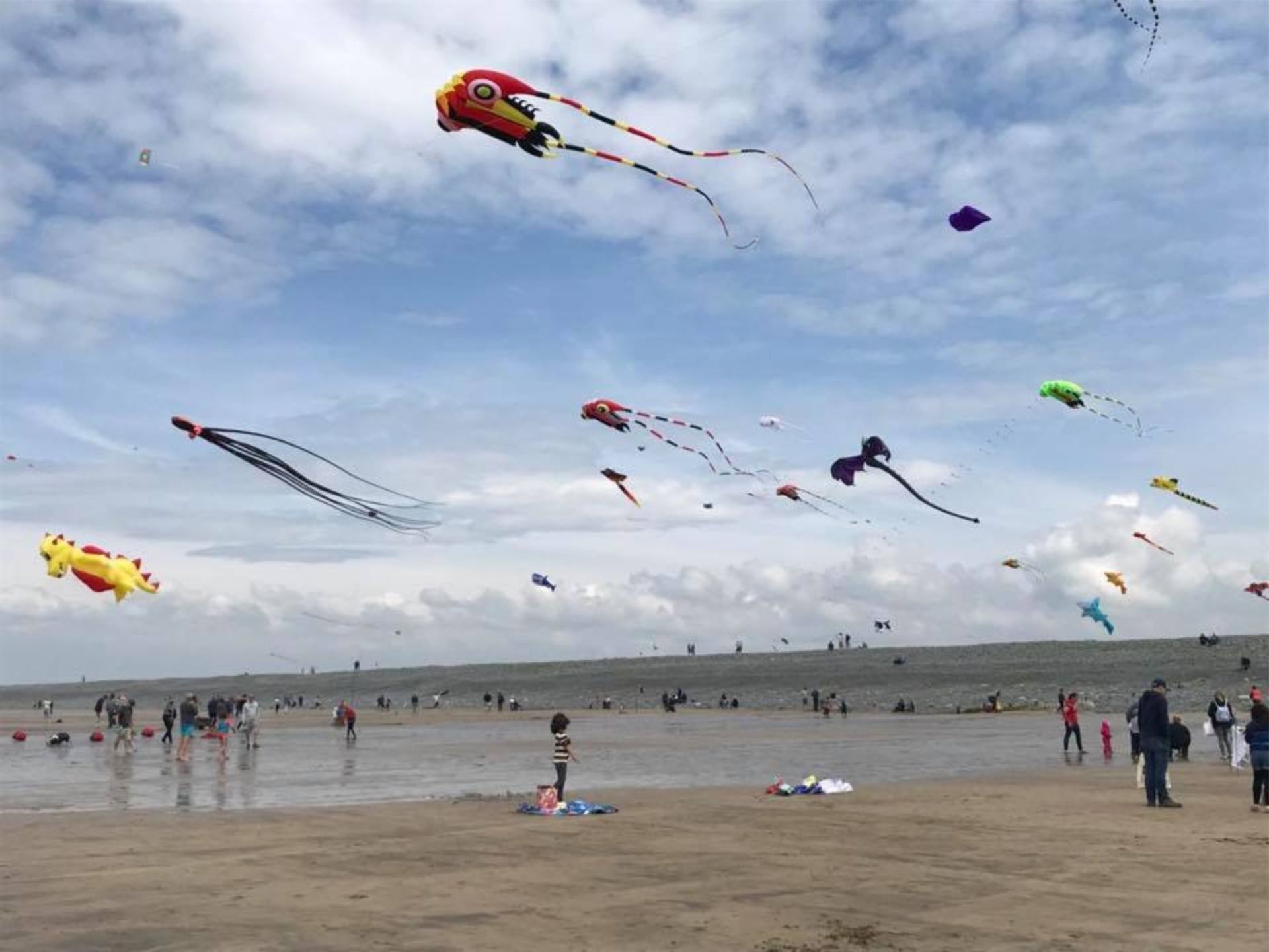 The Westward Ho! Festival Of Kites is on the main beach in the village