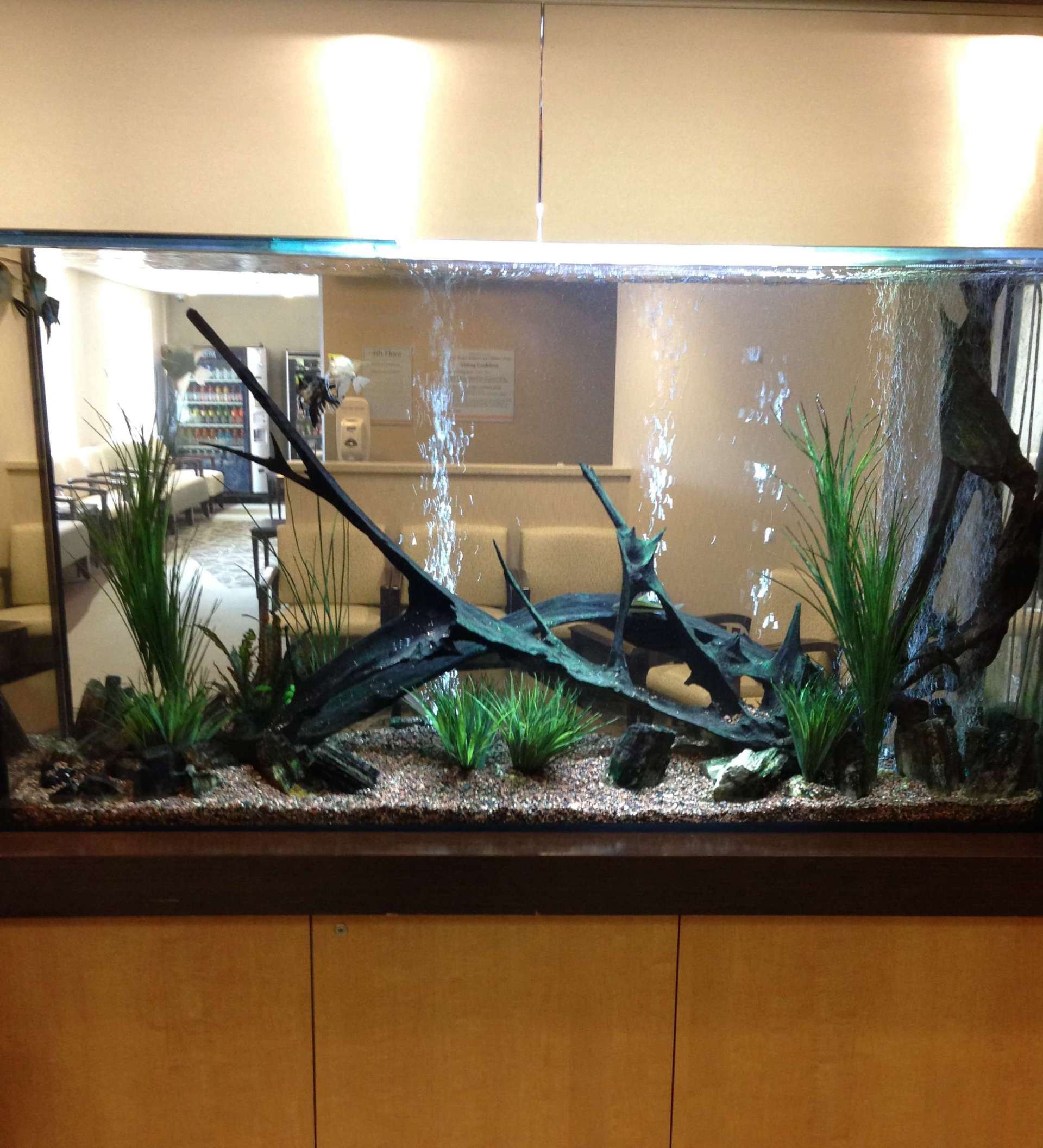 Aquarium Services East Brunswick NJ Gallery Aquaridise