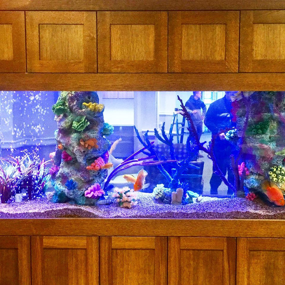 Aquarium Services East Brunswick NJ Gallery Aquaridise