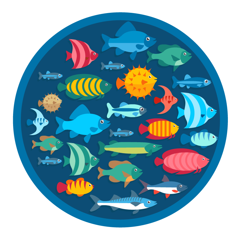 Tropical Fish Store & Aquarium Shop | East Brunswick & Colts Neck, NJ