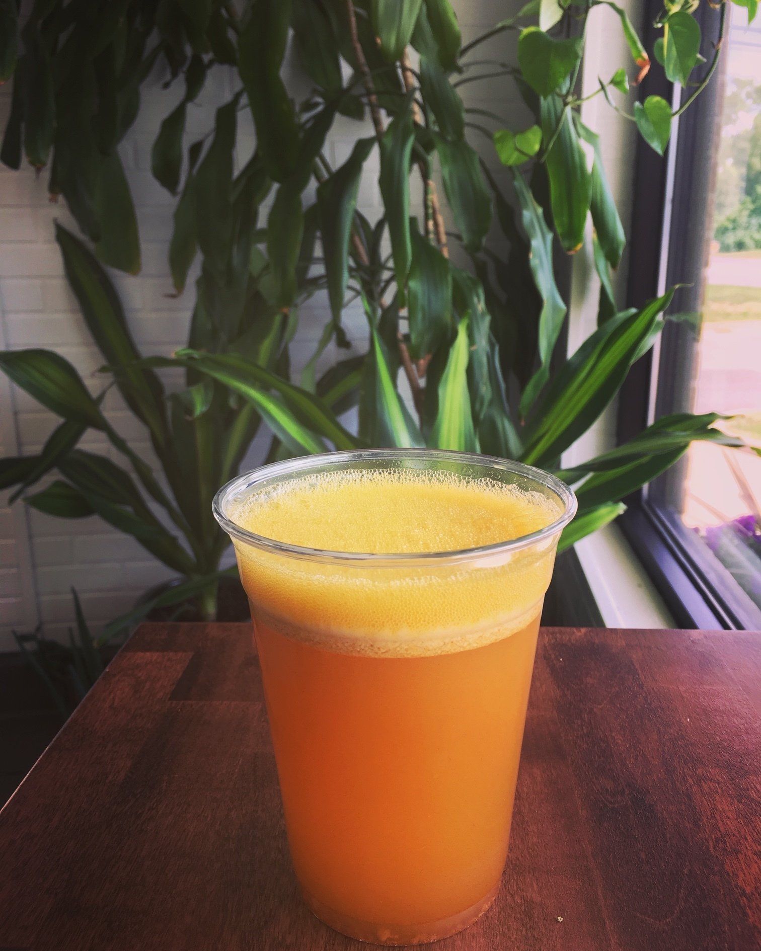 Organic Juice Bar Algonquin, IL Organic Rootz Health Food Shop