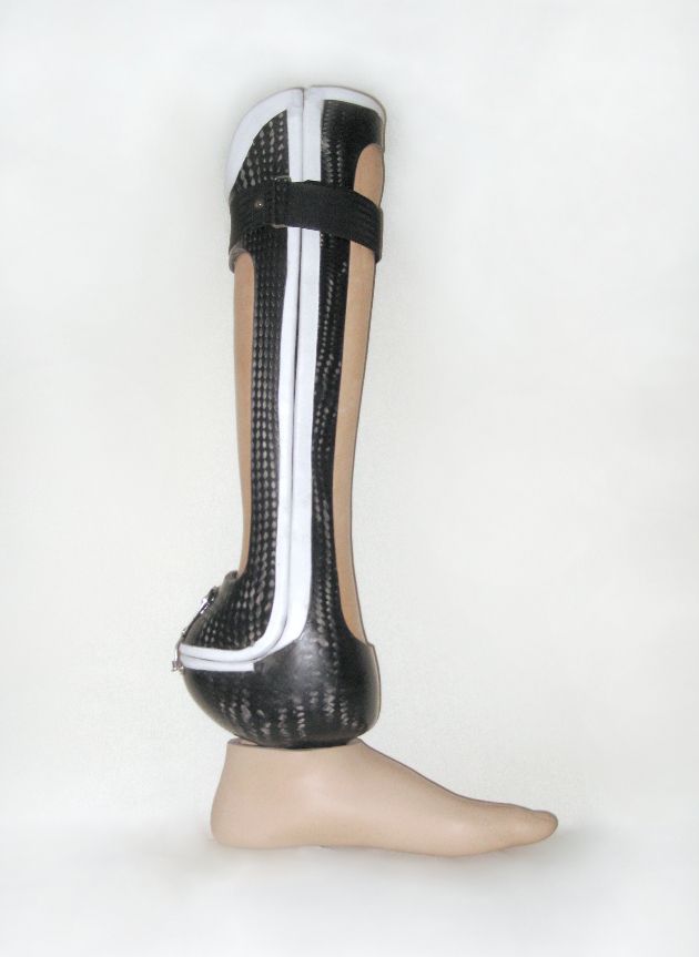 Big toe prosthetic image