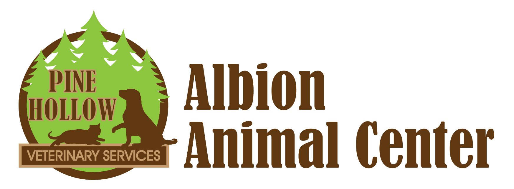 albion veterinary clinic