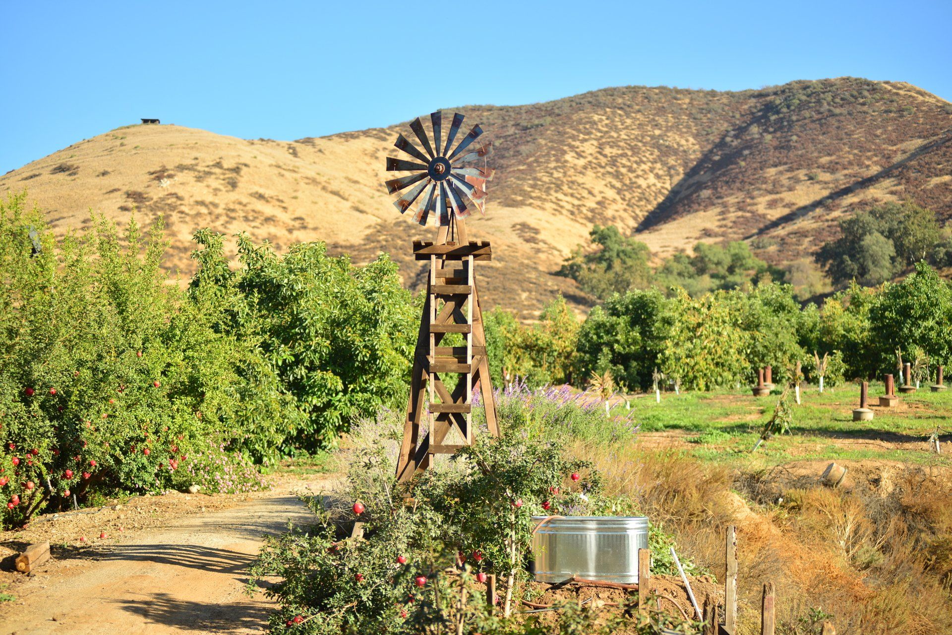 Greenspot Farms In Mentone CA Is Inland Empire's Family Farm