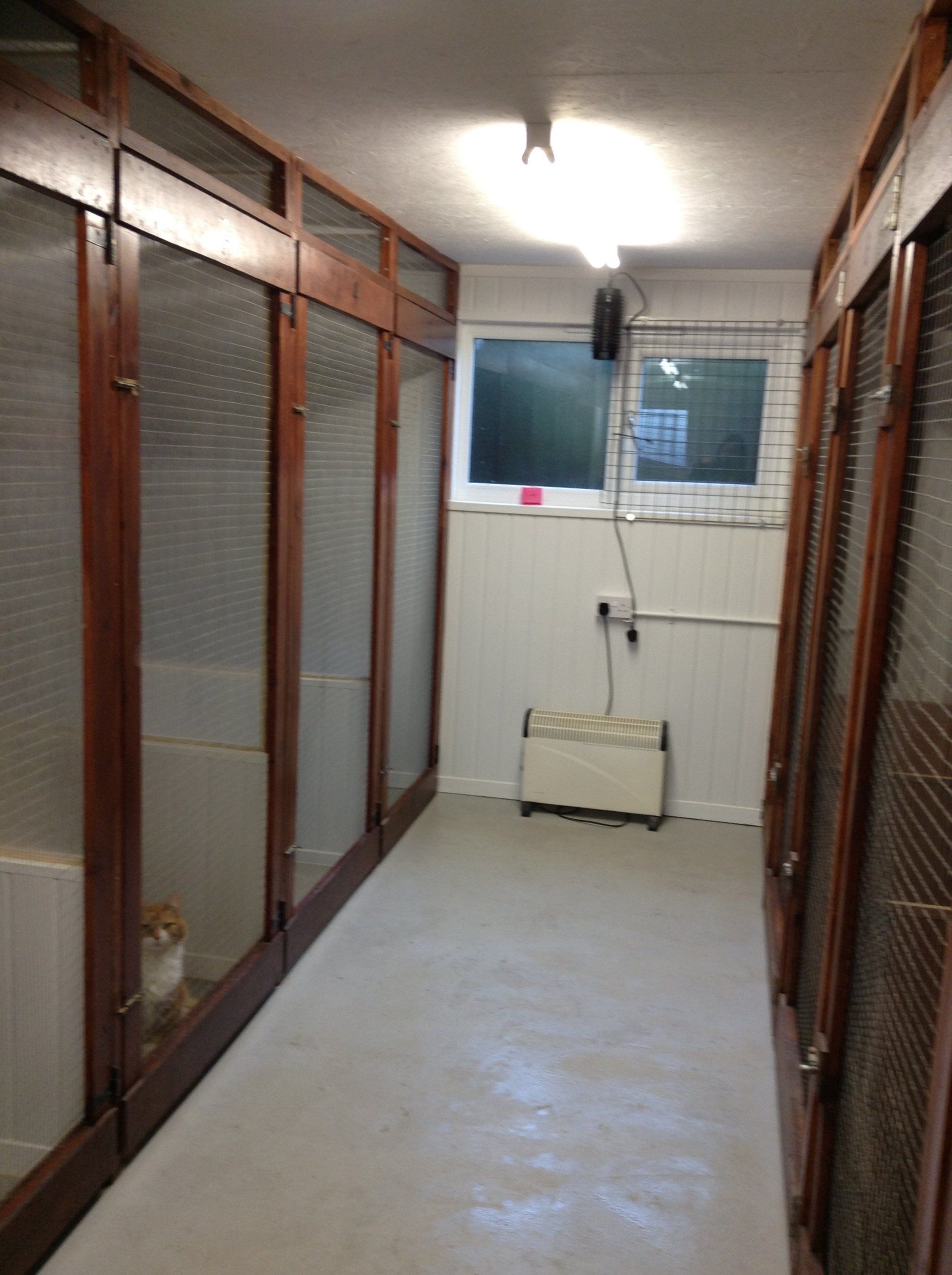 Cat accommodation | New Farm Boarding Cattery