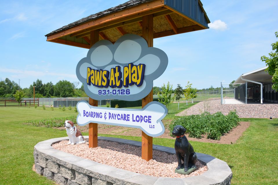 Paws at Play Boarding and Daycare Lodge LLC Doggie Daycare Rice Lake