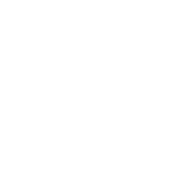 Ts Fork