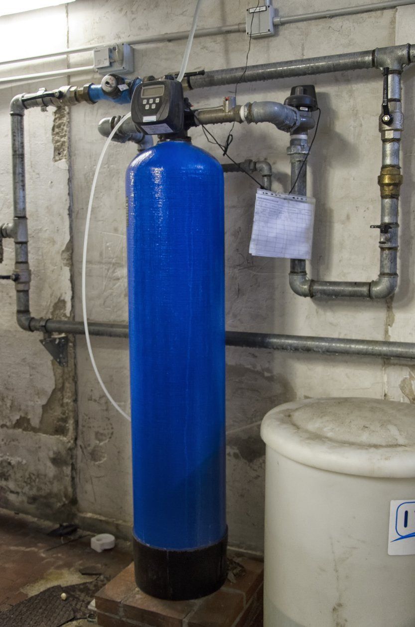 ecowater systems water softener cost