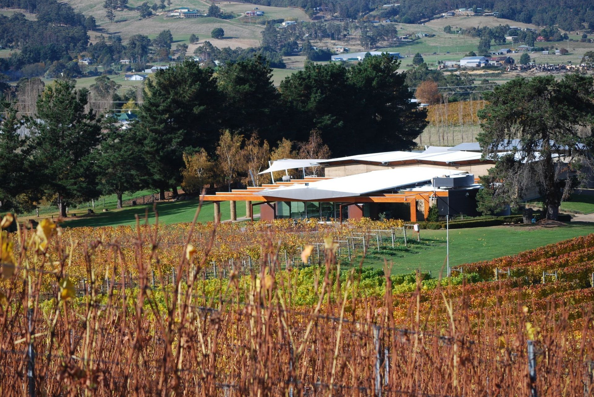 Home Hill Winery - Ranelagh, Tasmania - Restaurant