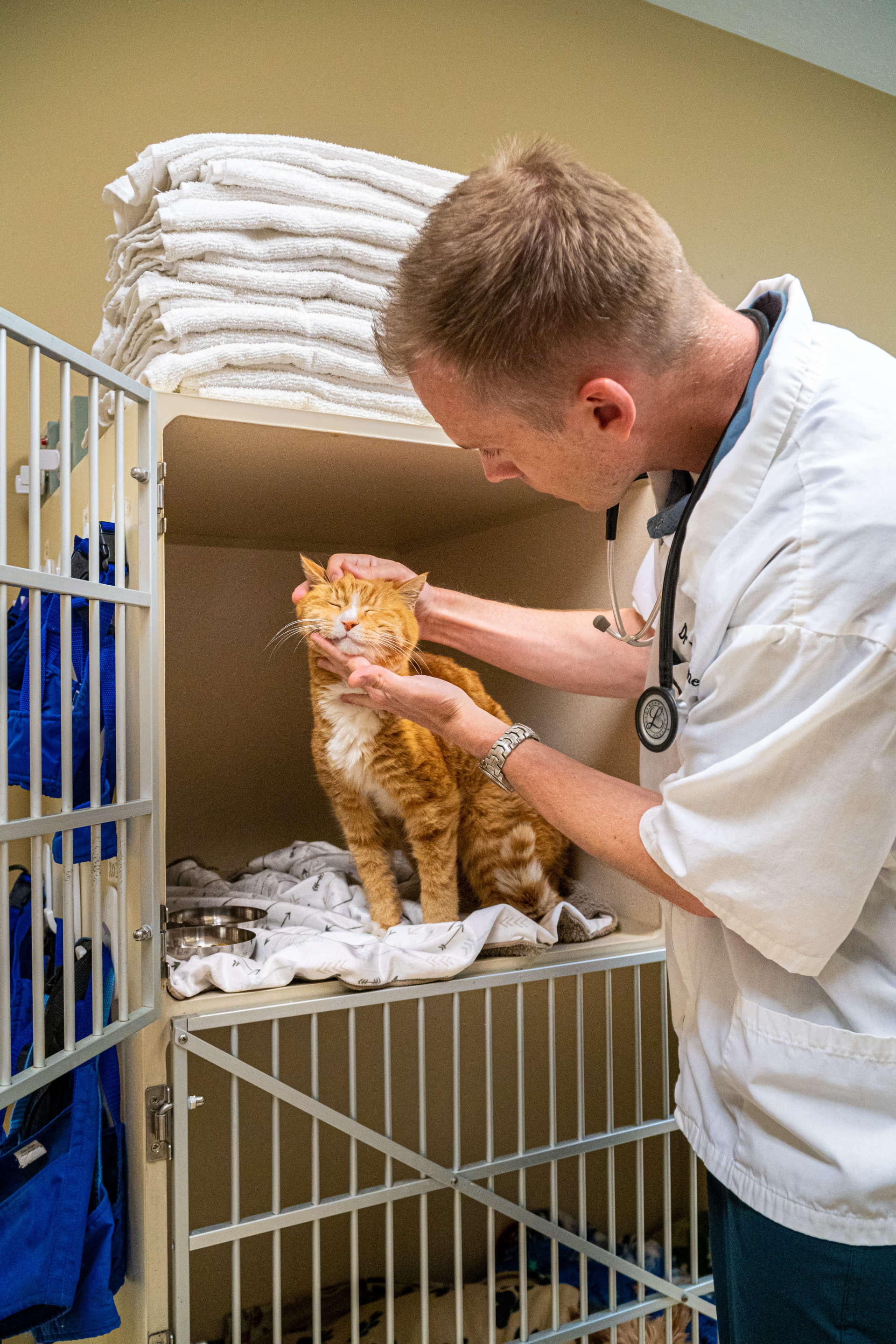 Dr. Wynn Palmer, DVM Animal Care Veterinary Hospitals