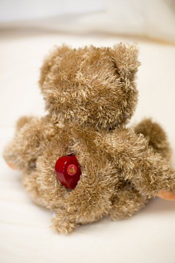 teddy bear with sharp teeth