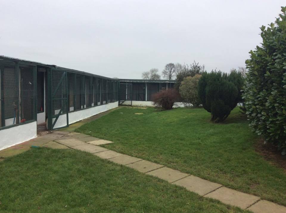 Hawthorn Boarding Kennels and Cattery Newcastle 01912363309