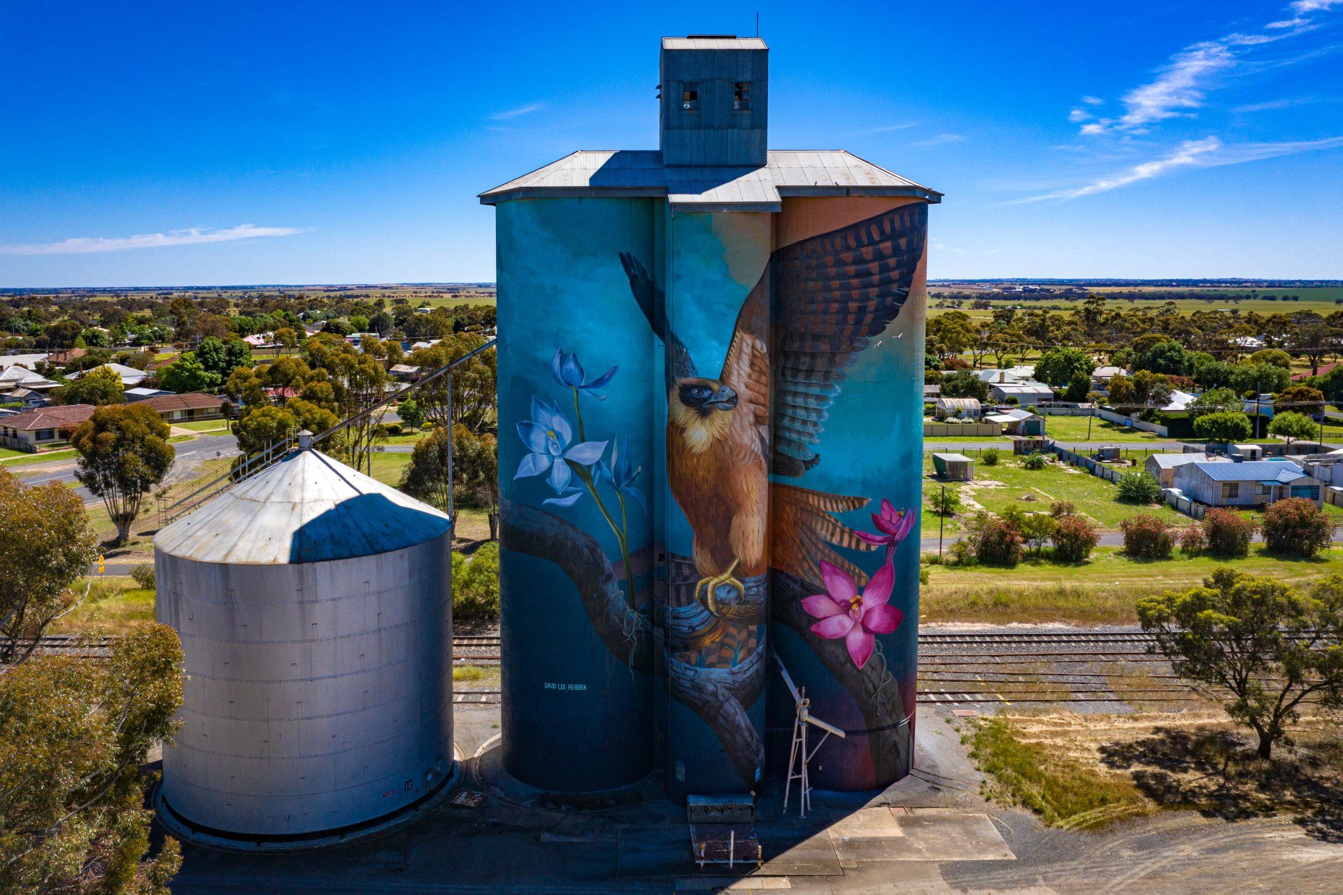 Kaniva Silo Art