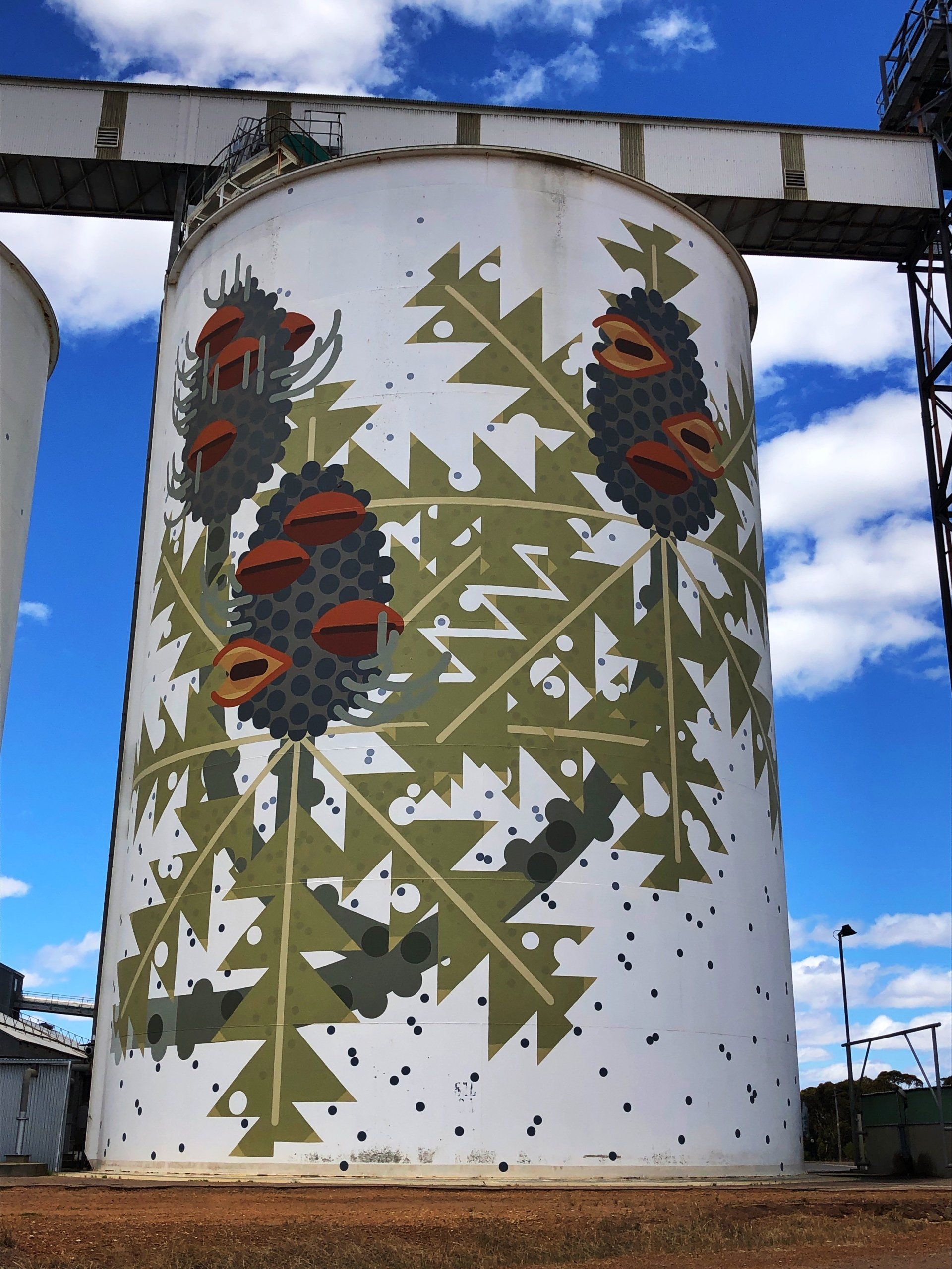 Ravensthorpe Silo Art