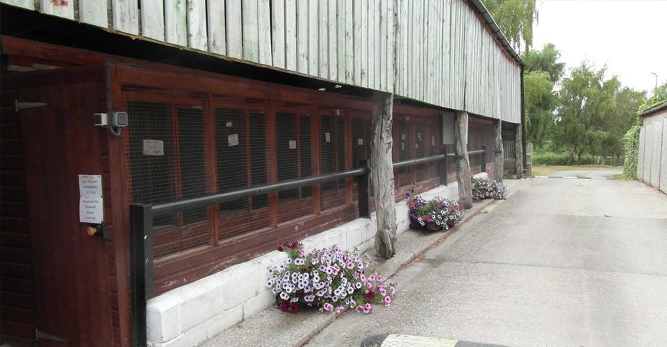 Pet boarding centre The Grange Boarding Kennels