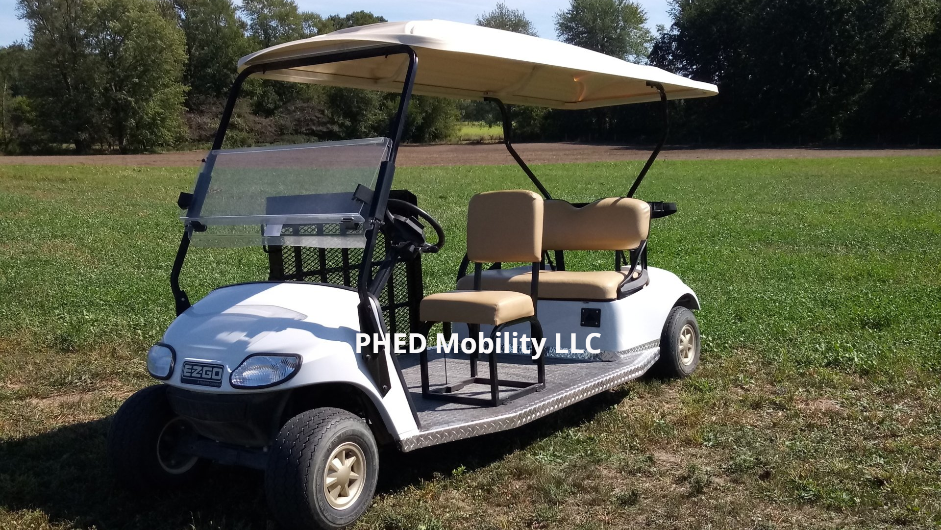 ADA Handicap Wheel Chair Accessible Golf Carts