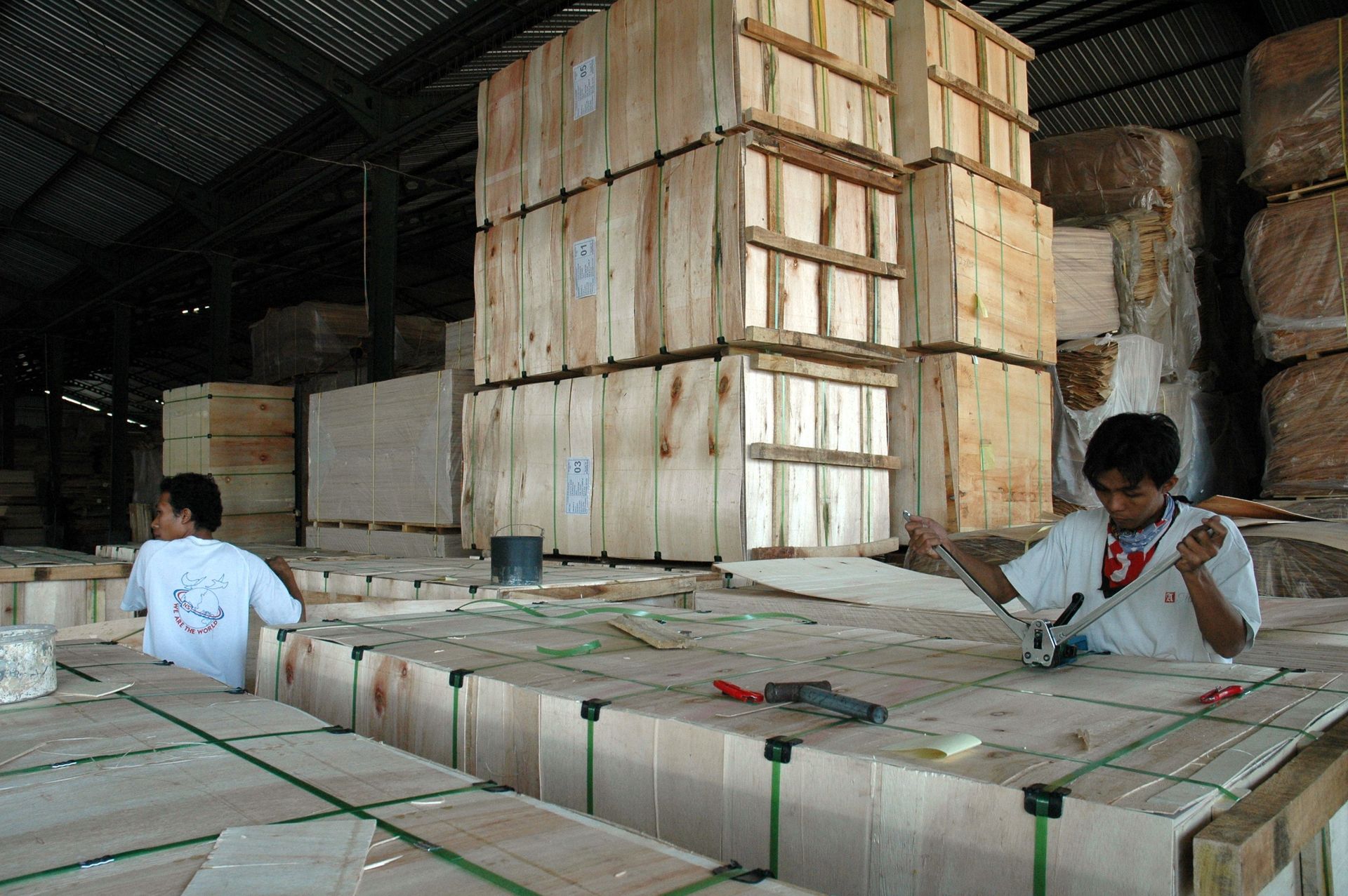 PT Mustika Buana Sejahtera a falcata plywood manufacturer