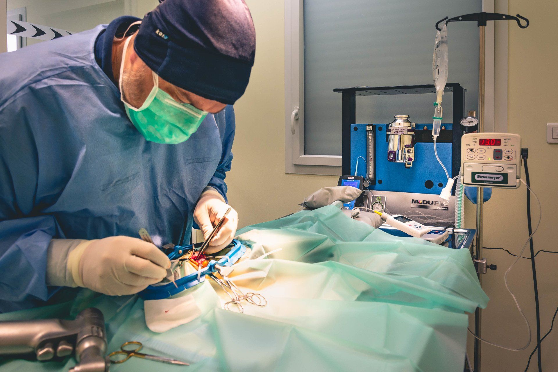 Clinique NAC toulouse visite de la structure vétérinaire