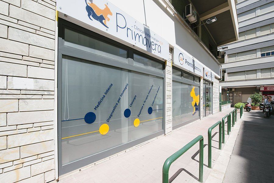 Clinica Veterinaria 24 ore, Palermo, Clinica Veterinaria Primavera Clinica Veterinaria 24 ore, Palermo, Clinica Veterinaria Primavera