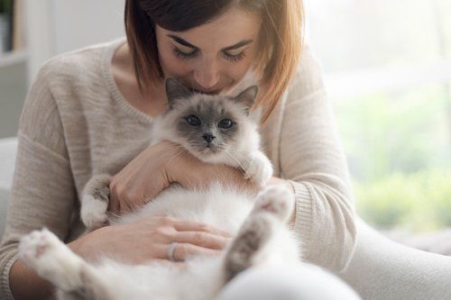 home remedies for cat cataracts