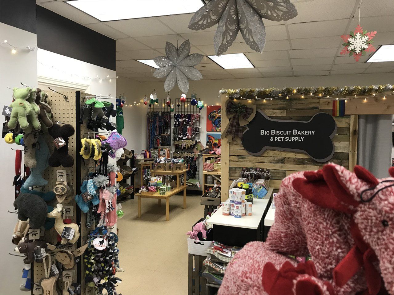Big Biscuit Bakery & Pet Supply
