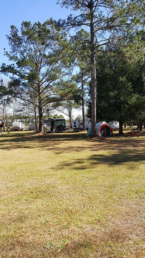 Sun Runners RV Park | Campground | Gulf Shores, AL