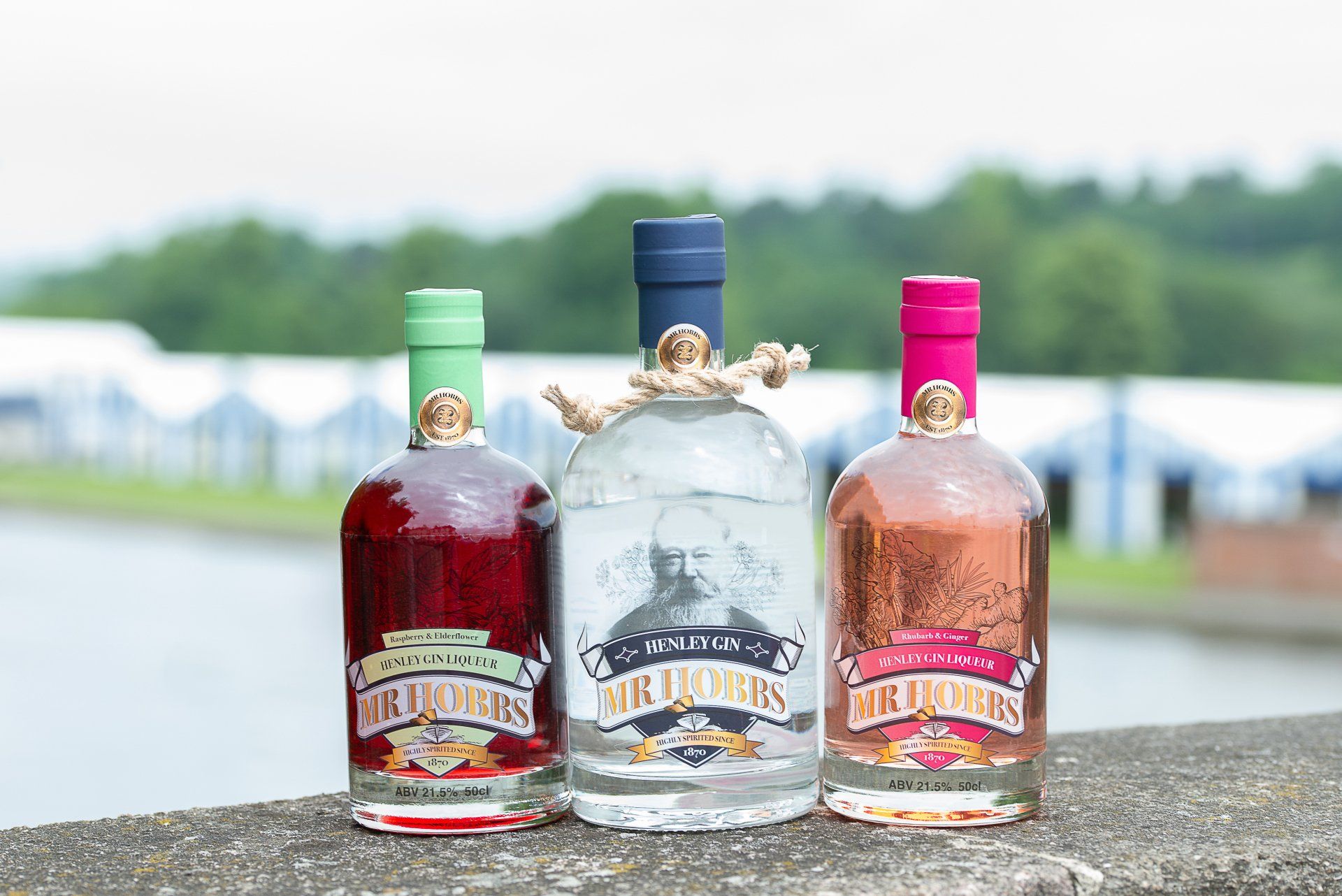 Gin Tasting Cruise on the Thames from Henley