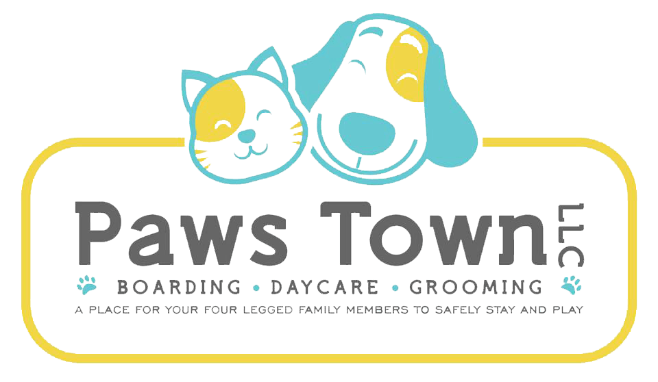 Paws Town | Training | Owensboro, KY