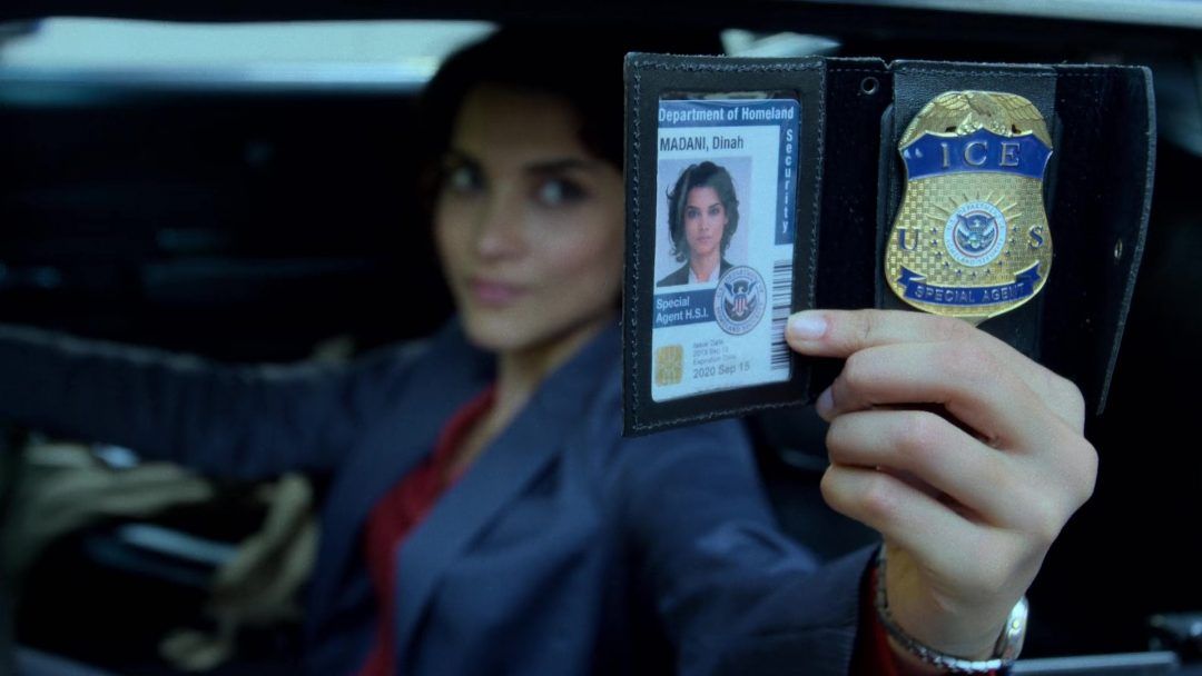 ICE HSI Homeland Security Investigations