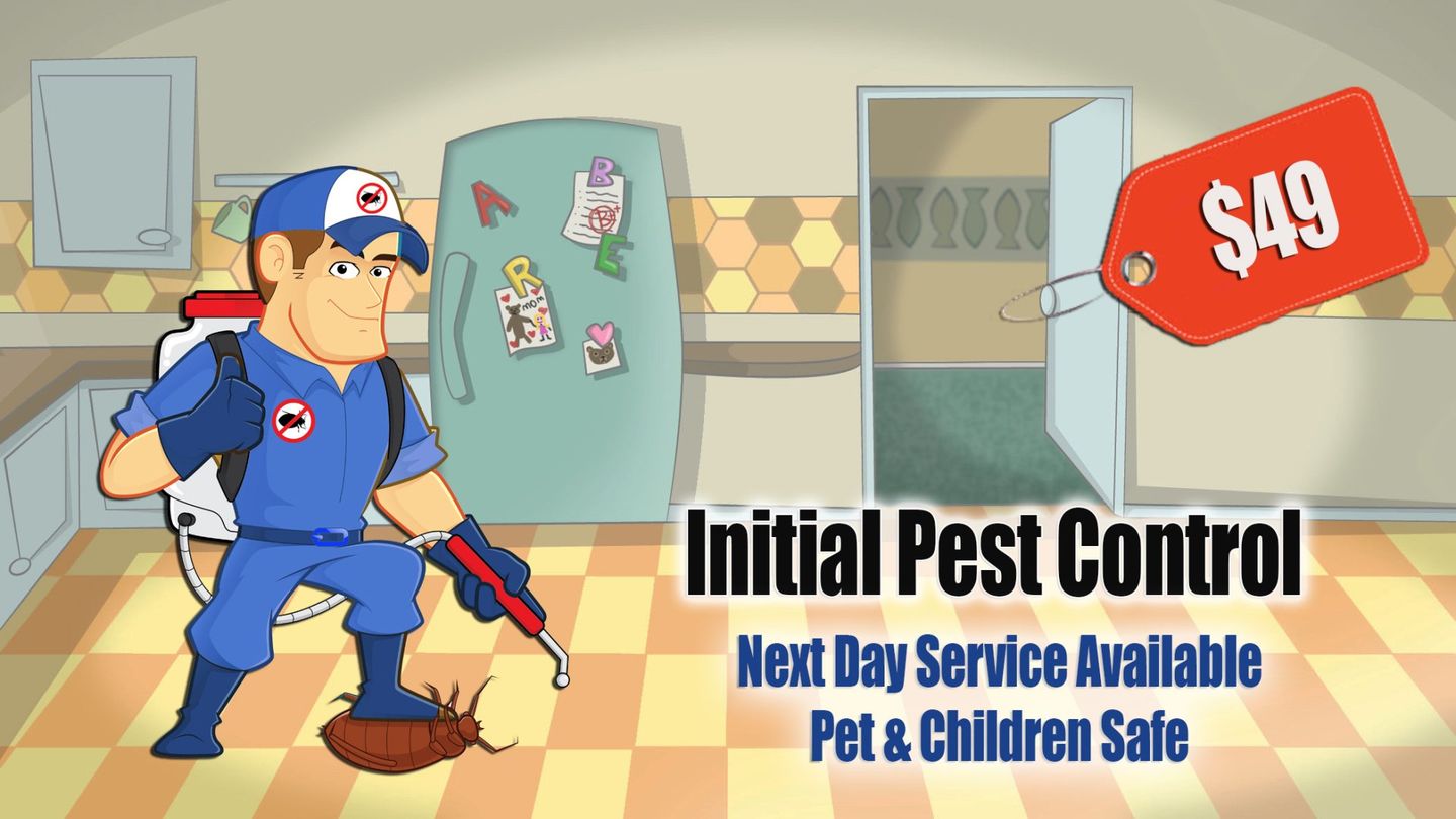Pest Control Phoenix & East Valley Overson Pest