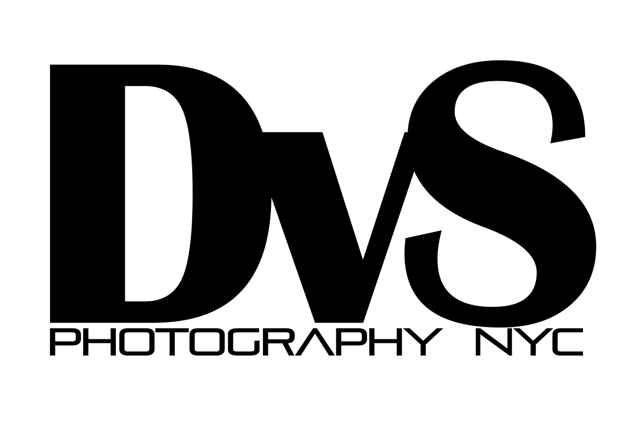 Creative Photography DS Letter Logo Design - TemplateMonster