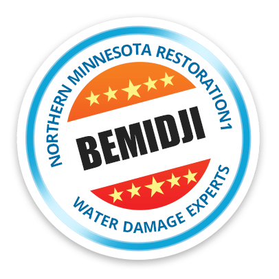 Home Care Agencies In Bemidji Mn