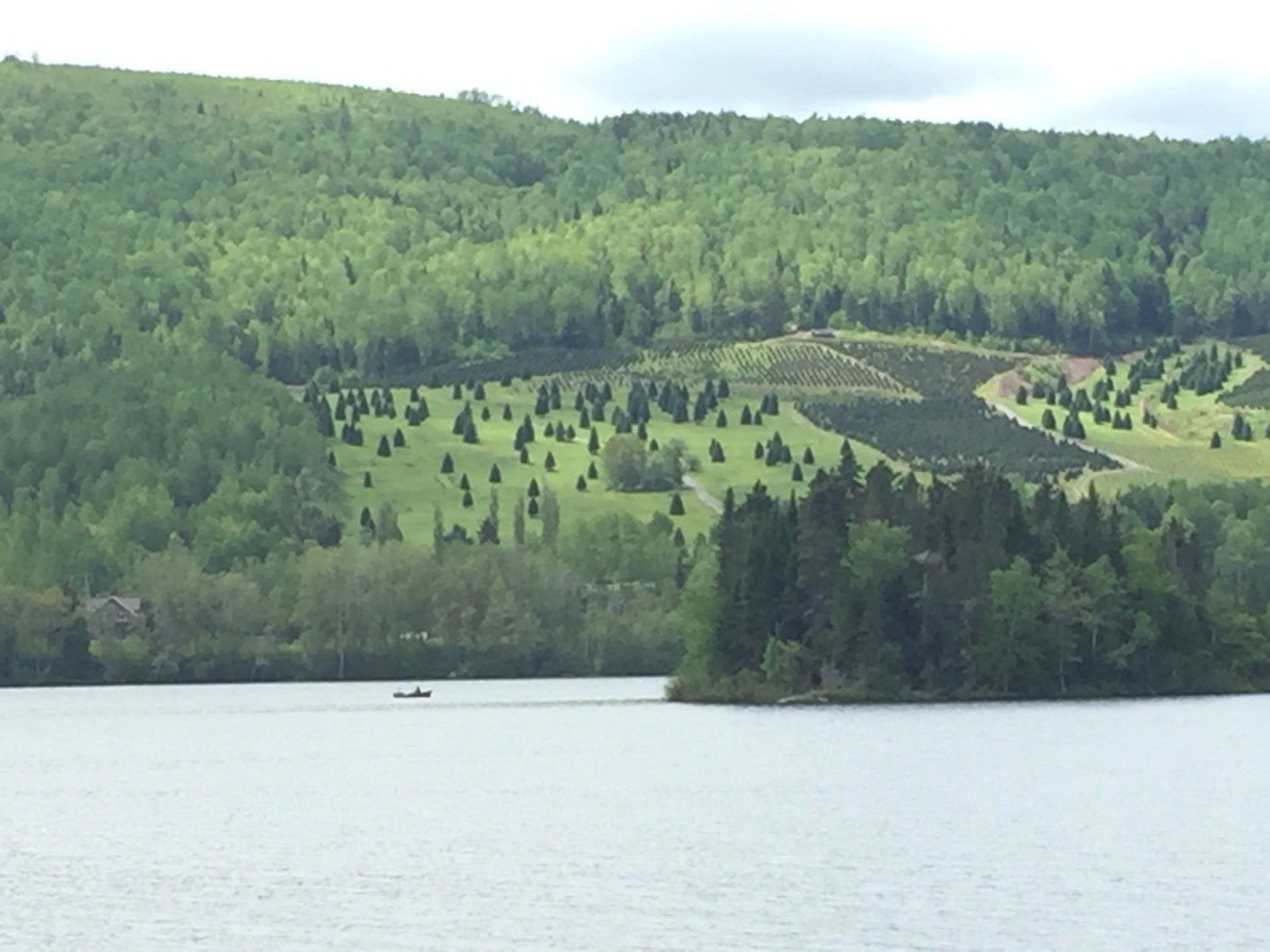 Le monstre du Lac Baker