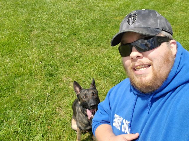 k9 solutions training