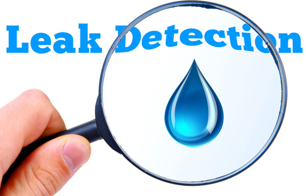 Leak Detection Services and Repair 