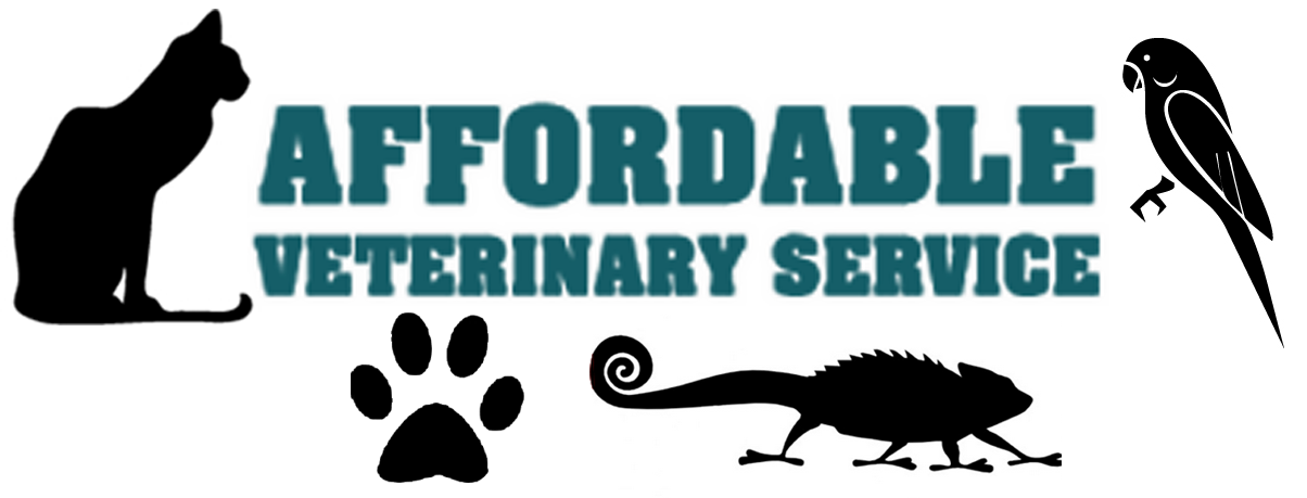 steiner sils affordable vet care