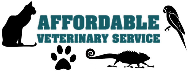 affordable vet services